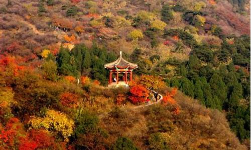 梦幻香山红叶金价_梦幻西游香山红叶会鬼吗