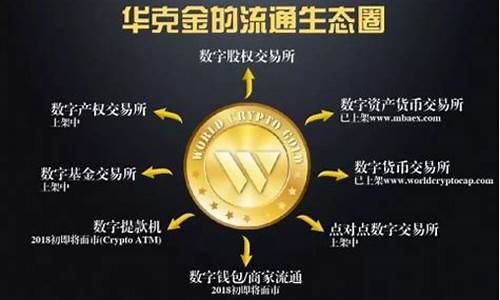 虚拟货币华克金价钱_华克币是什么