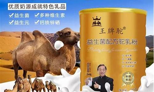 王牌驼大漠白金价格_王牌驼骆驼奶怎么样